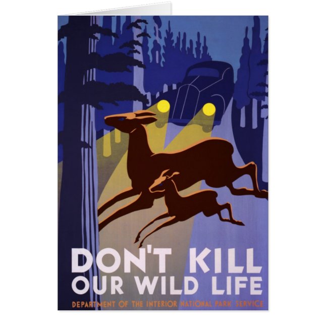 Don't Kill Our Wild Life (Front)