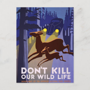 Don't kill our wildlife postcard
