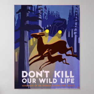 Don't kill our wildlife poster