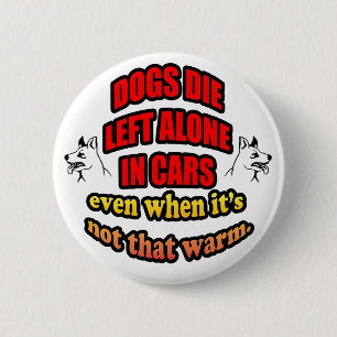 DONT LEAVE YOUR PETS ALONE IN A CAR 6 CM ROUND BADGE