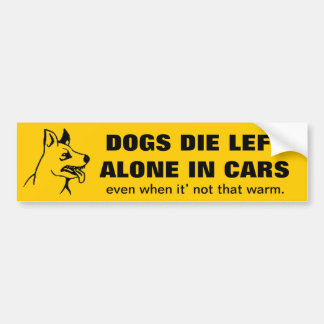 DONT LEAVE YOUR PETS ALONE IN A CAR BUMPER STICKER