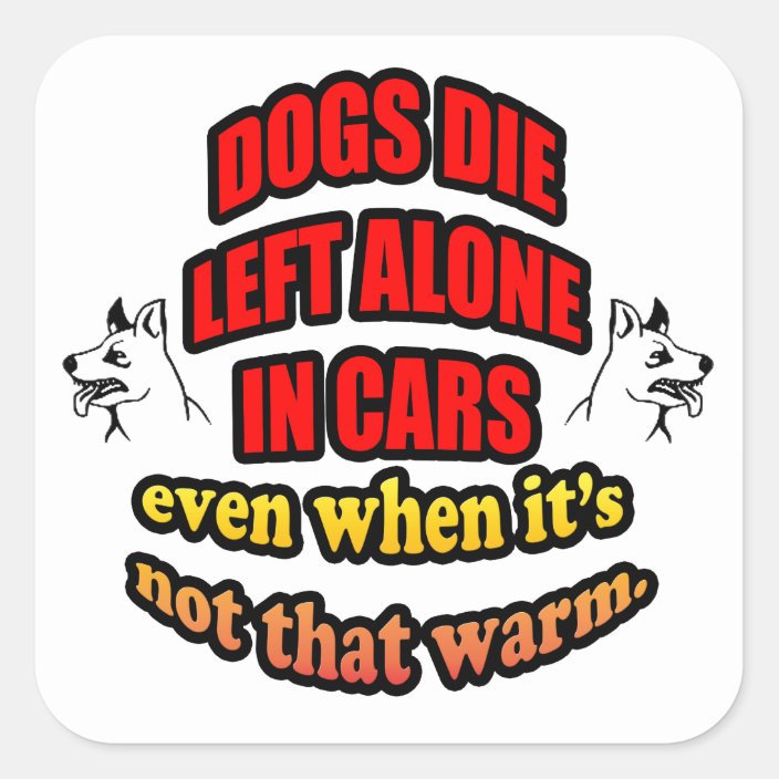 DONT LEAVE YOUR PETS ALONE IN A CAR SQUARE STICKER | Zazzle