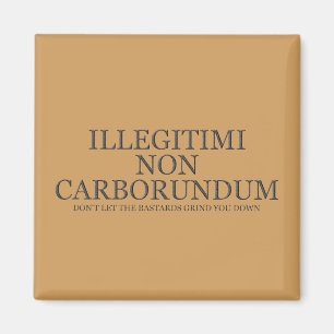 Don't Let The Bastards Grind You Down - Dark Magnet