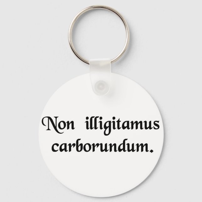 Don't let the bastards grind you down. key ring (Front)