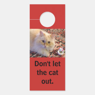 Don't let the cat out. door hanger