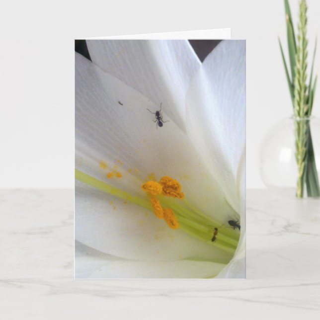 Don't Let the Little Things Get to You... Holiday Card (Front)