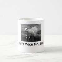 Don't Mace Me, Bro!