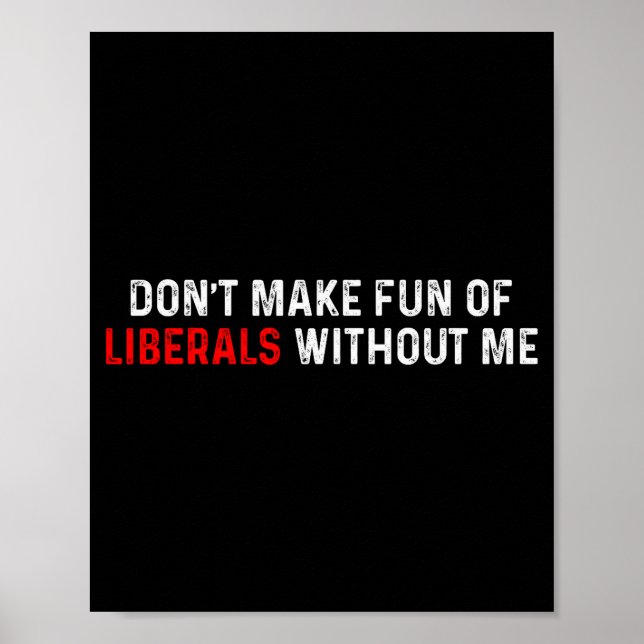 Dont Make Fun Of Liberals Without Me Funny (2 Side Poster (Front)