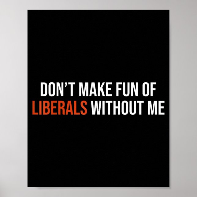 Don't Make Fun Of Liberals Without Me  Poster (Front)