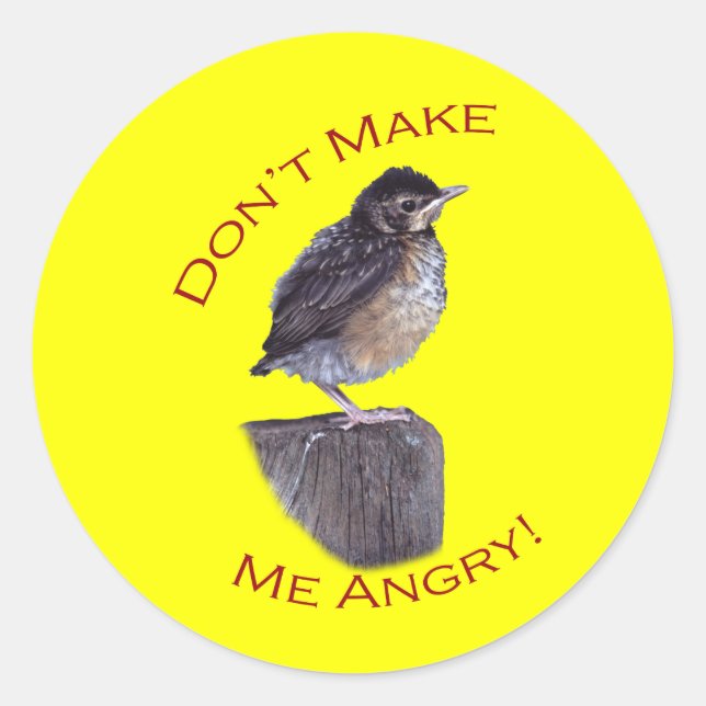 Don't Make Me Angry Classic Round Sticker (Front)
