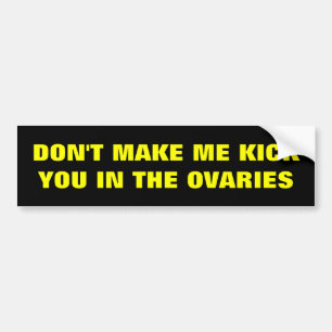 DON'T MAKE ME KICK YOU IN THE OVARIES BUMPER STICKER