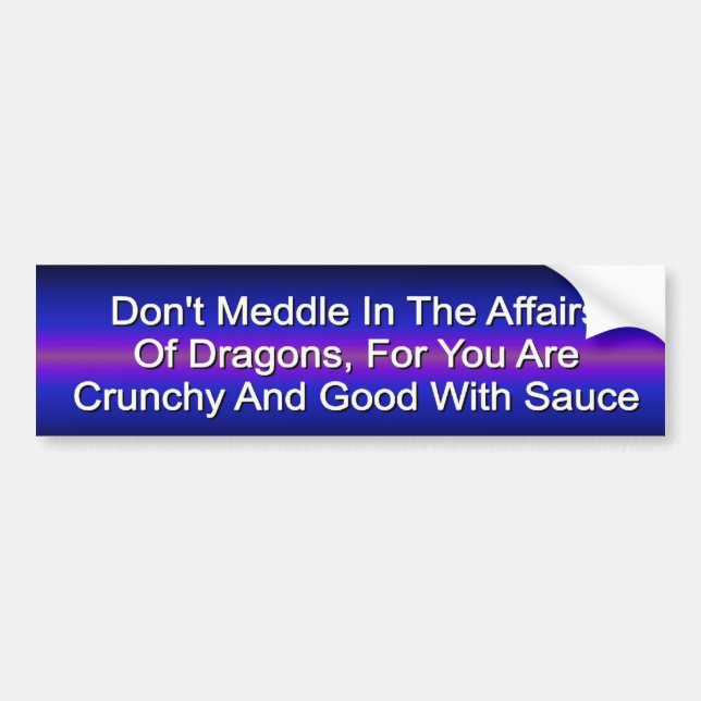 Don't Meddle With Dragons, funny car sticker. Bumper Sticker (Front)