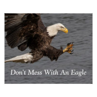 Don't Mess With An Eagle 