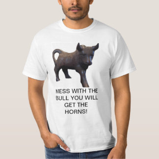 DON'T MESS WITH BULL shirt