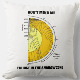 Don't Mind Me I'm Just In The Shadow Zone Cushion