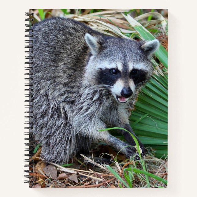 Don't Mind Me, Just Passing Through Notebook (Front)