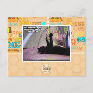 Don't Mind Me Postcard