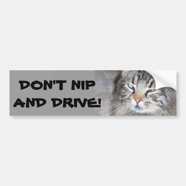Don't Nip And Drive Bumper Sticker (Front)