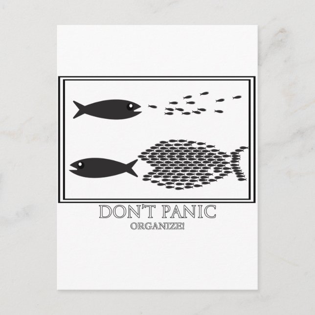 Dont' Panic be Organise! Postcard (Front)