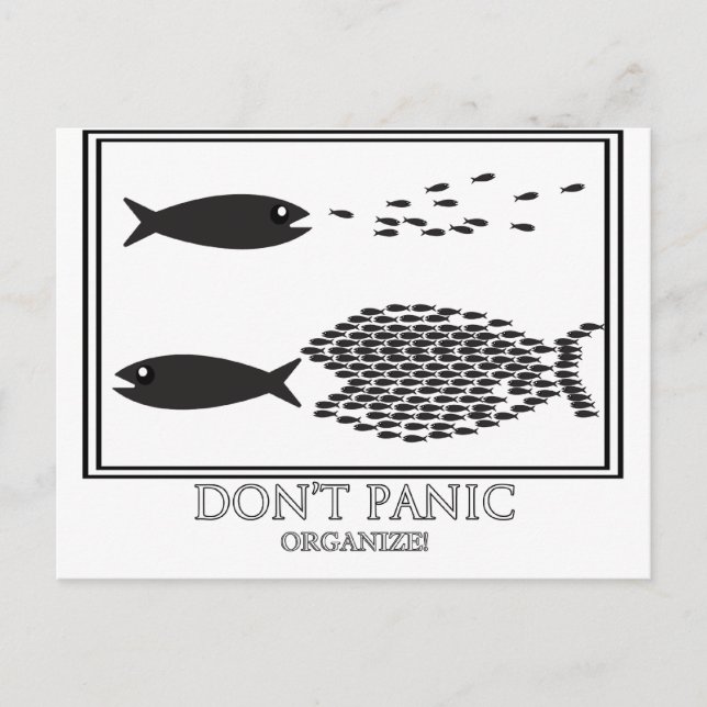 Dont' Panic be Organise! Postcard (Front)