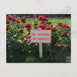 Don't Pick the Flowers, St. Petersburg, Russia Postcard