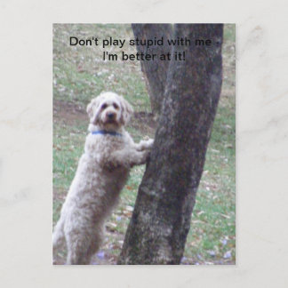 Don't play stupid with me -I'm better... Postcard