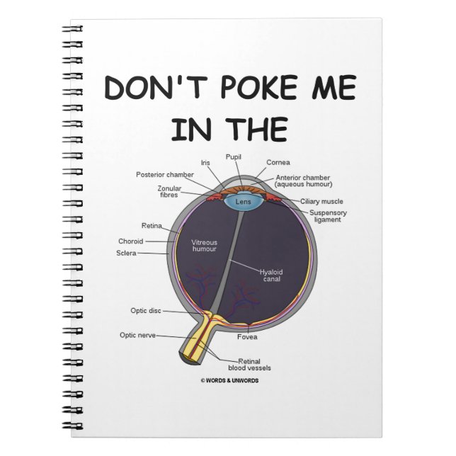 Don't Poke Me In The (Eye Anatomy) Humour Notebook (Front)