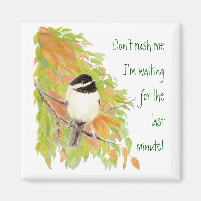 Don't Rush Me Procrastination Fun Bird Humour Magnet (Front)