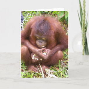 Don't Share #1 - wildlife greeting cards