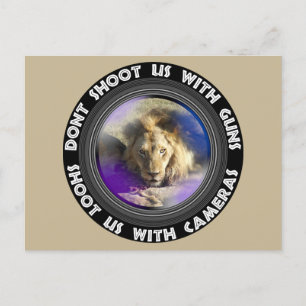 Dont Shoot Us Wildlife Conservation Lion Stare Holiday Postcard