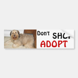 Don't SHOP ~ ADOPT! Bumper Sticker