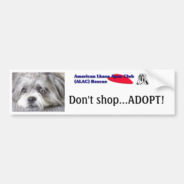 Don't shop...Adopt! Bumper sticker (Front)