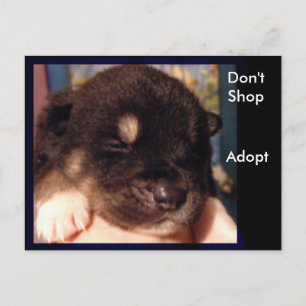 Don't Shop, Adopt Postcards