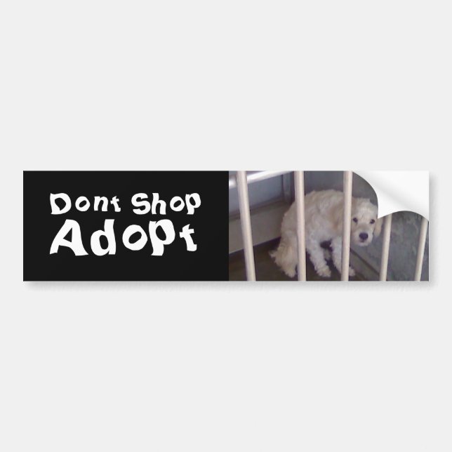 Dont Shop Bumper Sticker (Front)