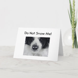 DON'T SNOW ME-50th BIRTHDAY HUMOR Card