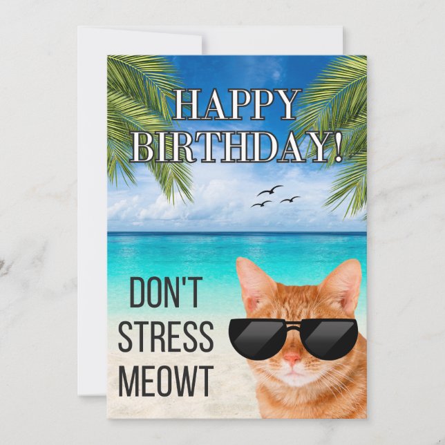 Dont Stress Meowt Funny Tabby Cat Happy Birthday (Front)