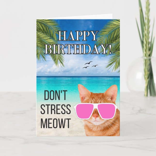 Dont Stress Meowt Funny Tabby Cat Happy Birthday Card (Front)