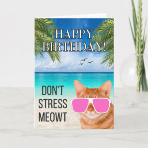 Dont Stress Meowt Funny Tabby Cat Happy Birthday Card
