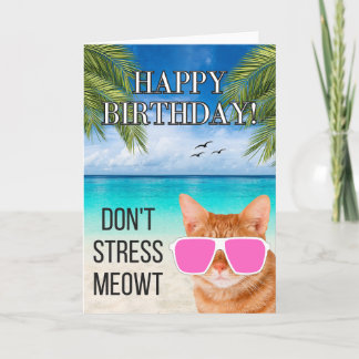 Dont Stress Meowt Funny Tabby Cat Happy Birthday Card