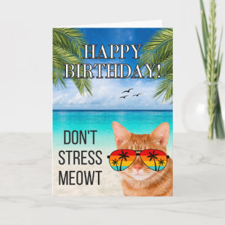 Dont Stress Meowt Funny Tabby Cat Happy Birthday Card