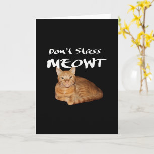 Don't Stress Meowt - Orange Cat Stress Me Out Card