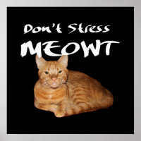 Don't Stress Meowt - Orange Cat Stress Me Out