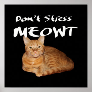 Don't Stress Meowt - Orange Cat Stress Me Out Poster