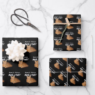 Don't Stress Meowt - Orange Cat Stress Me Out Wrapping Paper Sheet