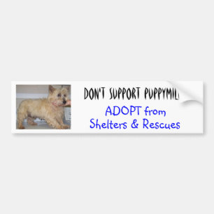 Don't Support Puppymills -- Straggles Bumper Sticker
