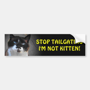 Don't Tailgate I'm Not Kitten Bumper Sticker