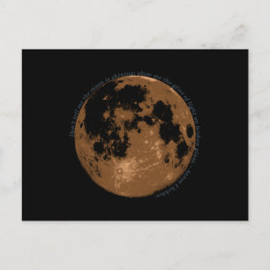 Don't tell me the moon is shining Chekhov quote Postcard