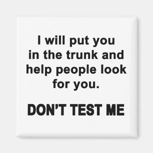 Don't Test Me Magnet