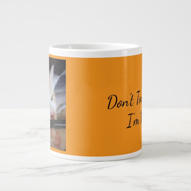 "Don't Touch Me, I'm Feral" Grumpy Cat  Large Coffee Mug (Front)