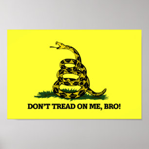 Don't Tread on me Bro Poster